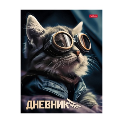 Дневник школьный Хатбер твердая обложка,"Кот-пилот", 1-11 класс, 40ДТ5В_31220